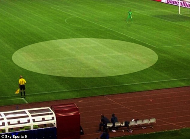 29942E9500000578-3122188-The_pattern_can_clearly_been_seen_on_the_side_of_the_pitch_as_It-a-72_1434149520148